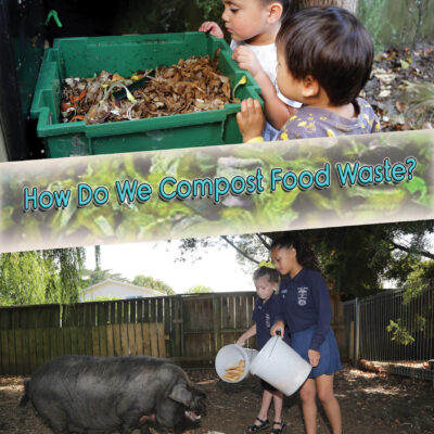 How Do We Compost Food Waste?