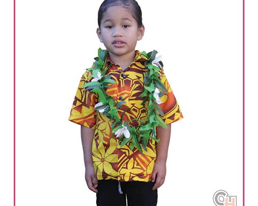 Pacific Taonga Flash Cards