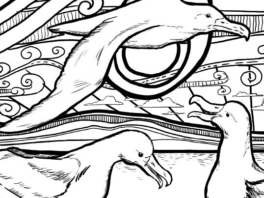 Rebecca Gibbs Art – Birds Pack 1