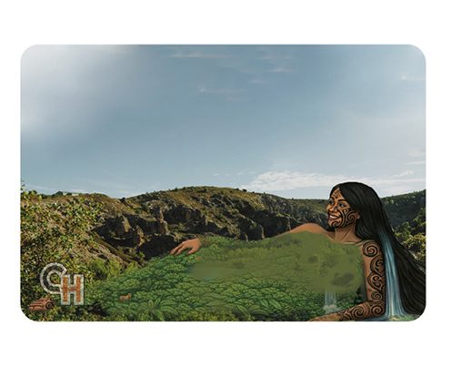 Environment Provocation Cards