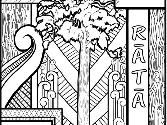 Rebecca Gibbs Art – Ecology Pack 1