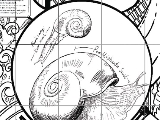 Rebecca Gibbs Art – Insects Pack