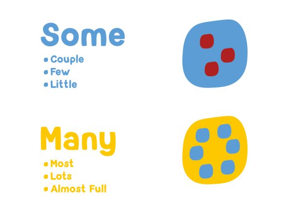 Quantative Number Cards