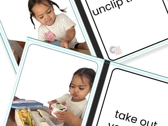Daily Independence Opening Lunch Box Small Pack
